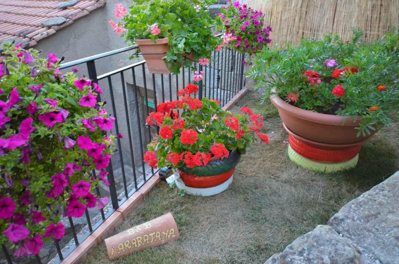 B&B L'Arabatana Pietrapertosa Exterior photo